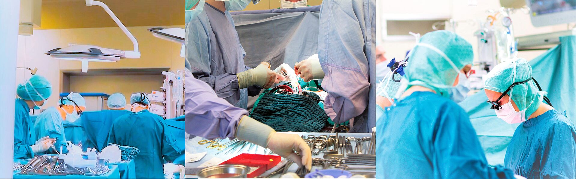 Organspende - Transplantation an der Kerckhoff-Klink