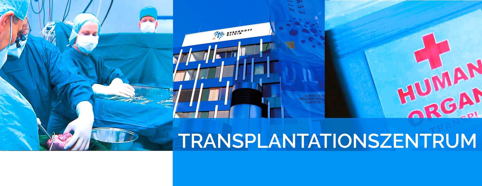 Transplantationszentrum Kerckhoff-Klinik Transplantationszentrum Kerckhoff-Klinik