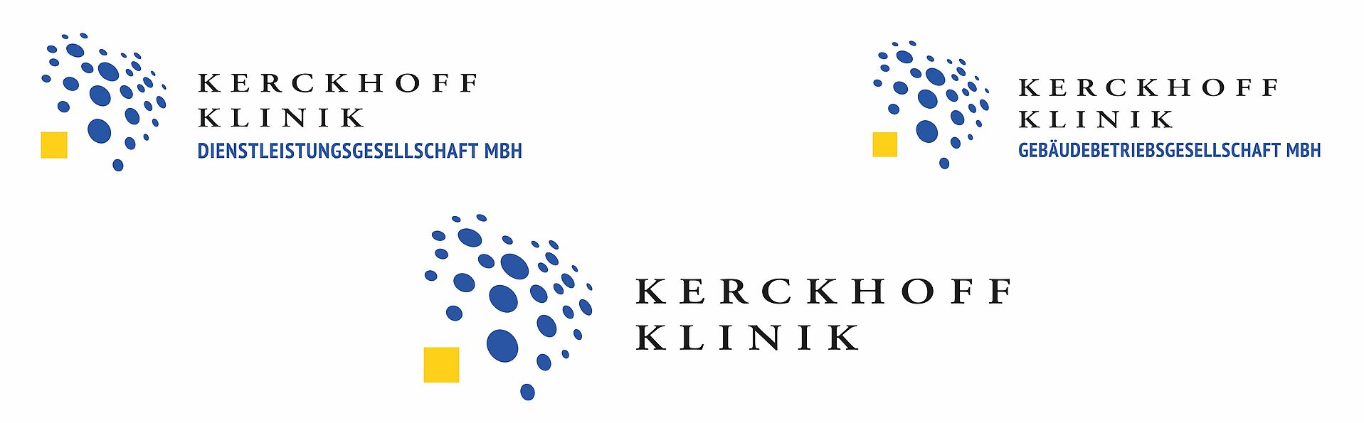 Konzerngesellschaften der Kerckhoff-Klinik