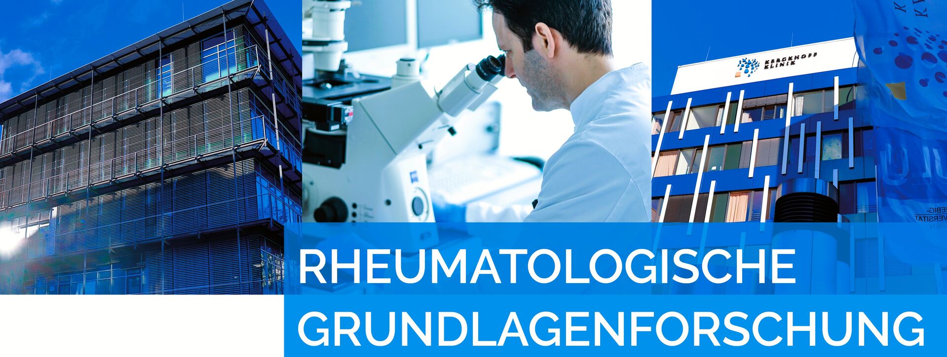 Rheumatologische Forschung